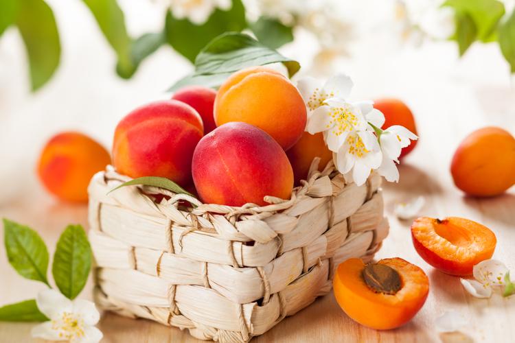 新鲜的杏子图片 水果,杏子,新鲜的杏子, _ 新鲜的杏子[图片专辑] _ 图