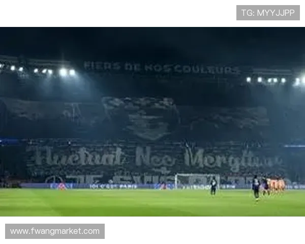 巴黎圣日耳曼主场TIFO致敬十年前巴黎恐袭遇难者的深情纪念 巴黎圣日耳曼主场TIFO致敬十年前巴黎恐袭遇难者的深情纪念